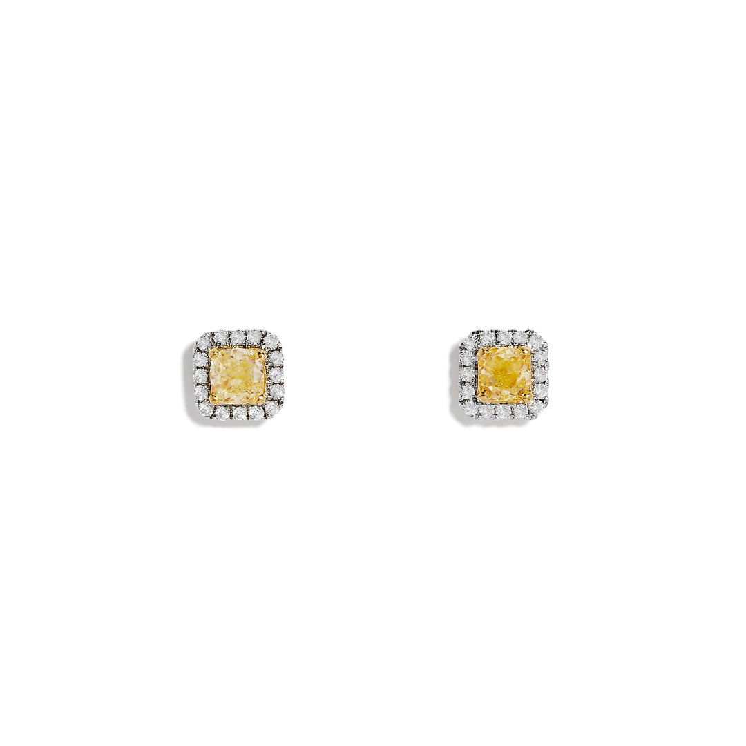 Two-Tone Gold Cushion Cut Yellow Lab Grown Diamond Halo Stud Earrings